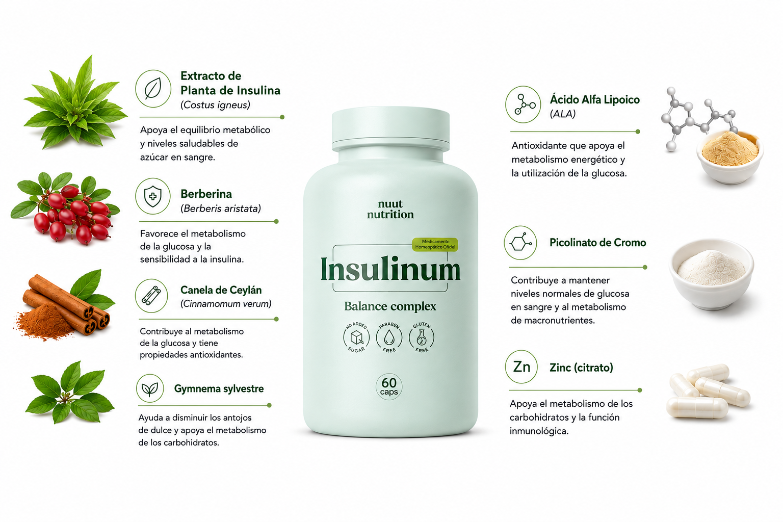 Ingredientes y beneficios Insulinum